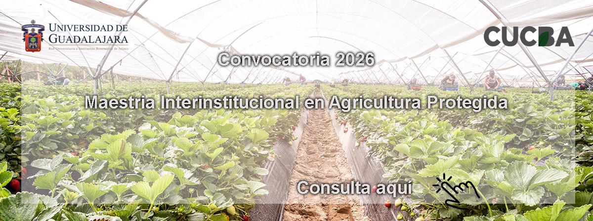 convocatoria 2026